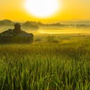 여명목장2 이미지