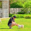 펫포레스트 | [펫포레스트광주점 후기] 덕구의 마지막 꽃길, 내돈내산으로 남기는 진심 후기, 내우주 사랑해