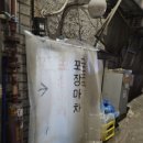 마돈나가발 - 종로구 종로 269 | [충무로 포장마차] '이름없는포장마차' 안주맛집 내돈내산 후기