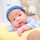 니퍼스튜디오