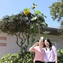 사의재안내소 이미지