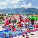 장수젊은한우 이미지