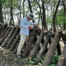 미완성농장 이미지