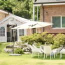 헬로우댕댕 이미지