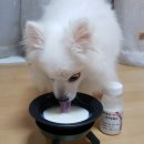 최정언산양목장 이미지