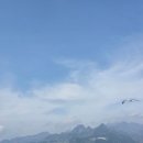 고향집민박 | 포항 울릉도 배편 울릉크루즈 후기와 예약 방법 정리