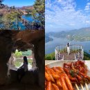 충청북도농업과학관 | 제천 아이랑 가볼만한곳 한방엑스포 여행 코스 BEST4