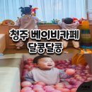 카페달콩 | 청주 베이비카페 11개월아기랑 달콩달콩 솔직후기