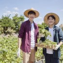 진도축산 이미지