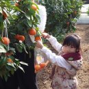 도니울마을 이미지