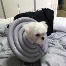 동심동물병원 이미지