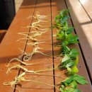 고은펜션 이미지