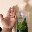 선인장디자인 | 여름 바디케어 추천! 야다선인장수딩젤 사용 후기
