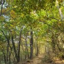 범아가리약수터 이미지