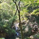 선비목욕탕 | 251011-12 일기 / 너공 / 부산 농심호텔, 허심청, 해양자연사박물관