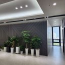 골프존파크수성 이미지