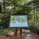 백운산자연휴양림 | 아이와 가기 좋은 전남 근교 여행지 광양 백운산자연휴양림 황톳길 후기