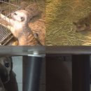 자비농장 이미지