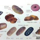살구나무빵집