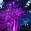 통도사로 | 양산 통도사 미디어아트 프로그램과 방문후기