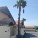 발레나 리조트 436-5 이미지