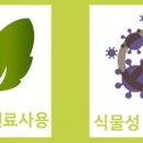 비바모텔 이미지