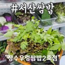 다오래우렁쌈밥2호점 | 서산쌈밥 직접 기른 쌈 채소가 무한리필 밥집 서산 장수우렁쌈밥 2호점