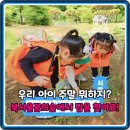 우리들의 꿈들 | 우리 아이 숲과 친구 될 시간! 북서울꿈의숲 어린이 숲체험 만족 후기 분석