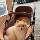 뽀드득 블랑스파 이미지