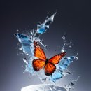 여니커피 이미지