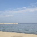 돈카츠모 이미지