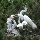 여기산공원 이미지