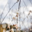 동방캠핑하우스 이미지