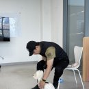 다산 애견훈련소 | [구리] 다산 강아지 훈련소 후기 (with 프래들 애견학교)