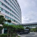 더케이호텔경주 실외수영장 | 더케이호텔 경주_온돌방 이용후기