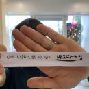 바르다 스시 이미지