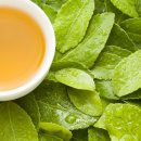 세현성형외과의원 이미지