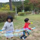 초부리유아숲체험원 이미지