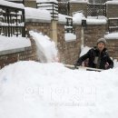 동북민박 이미지