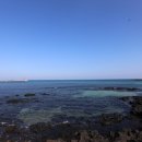 벨롱하우스 이미지