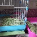 원칸통상 이미지