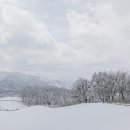 양대목장 이미지