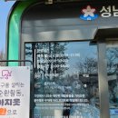 시청광장입구 | 성남시 아이와 가볼만한 곳 성남시청 주차와 산책 후기