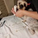 주인아 미용하고가 이미지