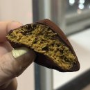 후스인더하우스 | [광주 동명동] 후스인더하우스 두바이쫀득볼 구매 후기 | 동명동 두쫀쿠 추천 | 광주 두쫀쿠 추천...