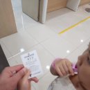 캐리비안 이미지