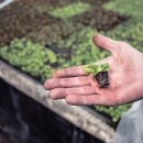 :::고려제강::: 철강 수급개선을 기대 이미지