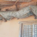 청마자동차정비 이미지