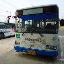구례공영버스터미널 티스토리