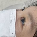 손이빛나리 이미지
